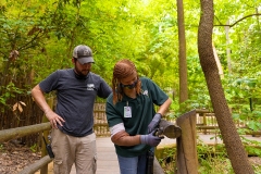 ACI_Cincinnati_Zoo_Internship_3715_┬⌐2024_Steve_Ziegelmeyer