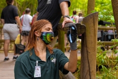 ACI_Cincinnati_Zoo_Internship_3776_┬⌐2024_Steve_Ziegelmeyer