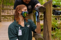 ACI_Cincinnati_Zoo_Internship_3783_┬⌐2024_Steve_Ziegelmeyer